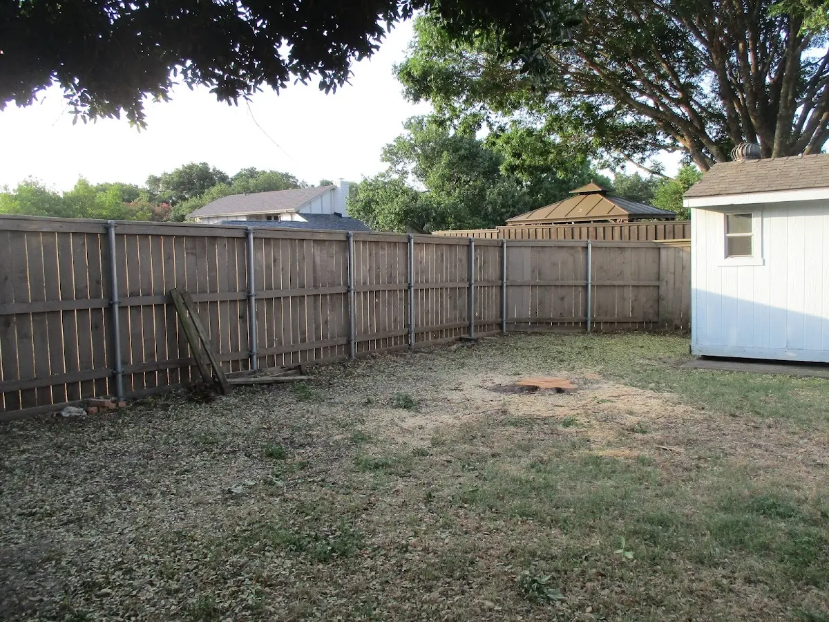 Cleared yard after professional tree removal in Rouseville
